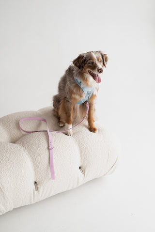 Peachy Dogs Cloud Classic 2.0 Dog Harness | Henlo Pets