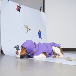 Puppy Gallery Daisy Vintage Purple Puffer Dog Jacket | Henlo Pets