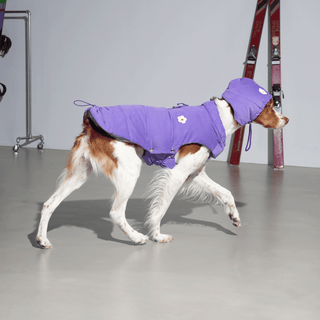 Puppy Gallery Daisy Vintage Purple Puffer Dog Jacket | Henlo Pets