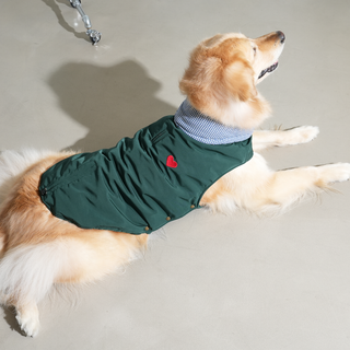 Puppy Gallery My Heart Puffer Dog Jacket | Henlo Pets