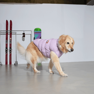 Puppy Gallery Kiroro Cloud Lavender Puffer Dog Jacket | Henlo Pets