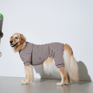 Puppy Gallery JamJam Stripe Mint Jumpsuit | Henlo Pets