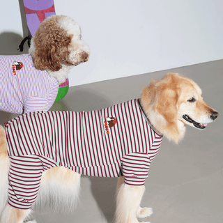Puppy Gallery JamJam Stripe Mint Jumpsuit | Henlo Pets
