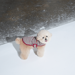 Puppy Gallery JamJam Stripe Dog Vest | Henlo Pets