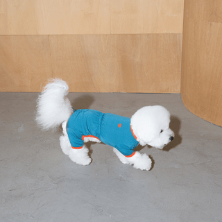 Puppy Gallery SnuggleFit All-in-One Teal Jumpsuit | Henlo Pets