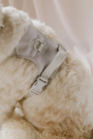 Peachy Dogs Oat Milk Classic 2.0 Dog Harness | Henlo Pets