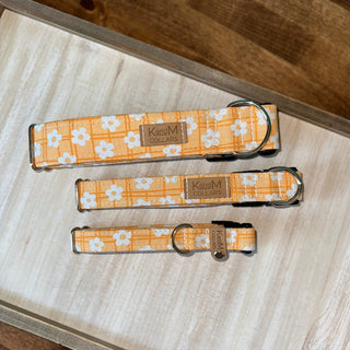 K and M Bright Yellow Daisies On Plaid Dog Collar | Henlo Pets