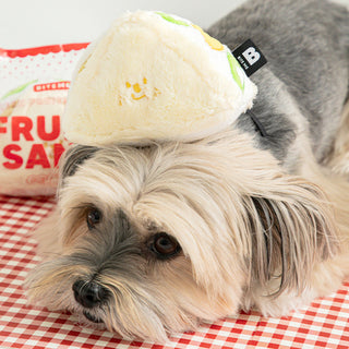 Bite Me Fruit Sandwich Nose Work Dog Toy | Henlo Pets