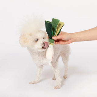 the furryfolks Green Onion Nosework Toy | Henlo Pets