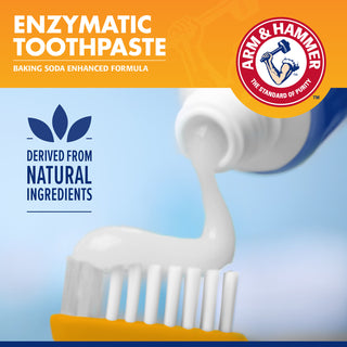 Arm & Hammer Complete Care Dental Kit Adult Dog | Henlo Pets