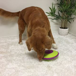 Nina Ottosson Treat Maze Dog Toy Green | Henlo Pets