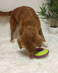 Nina Ottosson - Treat Maze Dog Toy Green - Henlo Pets