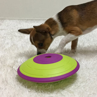Nina Ottosson Treat Maze Dog Toy Green | Henlo Pets