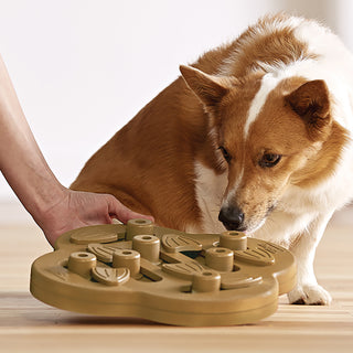 Nina Ottosson Dog Hide N Slide in Wooden Composite | Henlo Pets