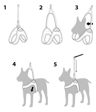 Charlie's Backyard Adjustable Easy Harness Green | Henlo Pets