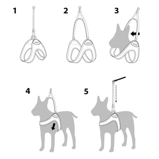 Charlie's Backyard Adjustable Easy Harness Black | Henlo Pets