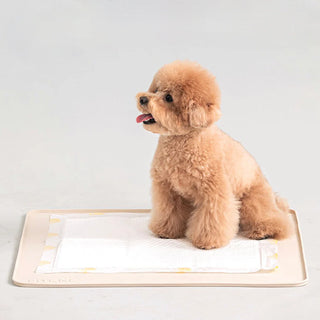 Bite Me XL Non Slip Pad Waterproof Silicon Mat | Henlo Pets