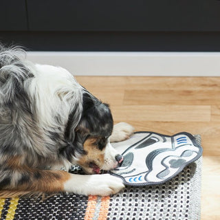 Star Wars Stormtrooper Flat Squeaky Dog Toy | Henlo Pets