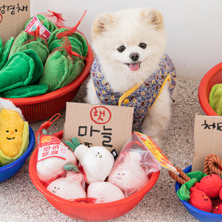 Bite Me Garlic Nosework Toy | Henlo Pets