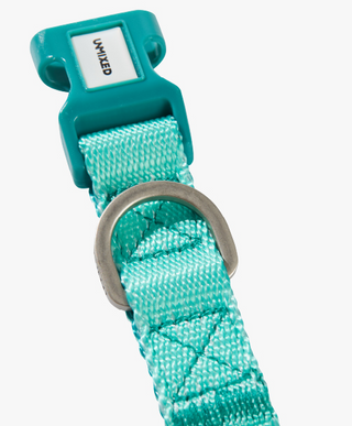 Unmixed Everyday Dog Collar - Turquoise | Henlo Pets