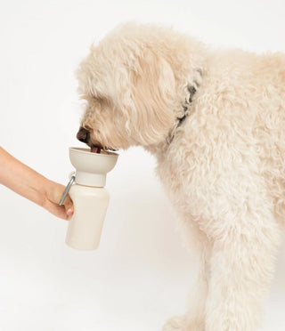 Springer Pets Flip Dog Travel Water Bottle | Henlo Pets
