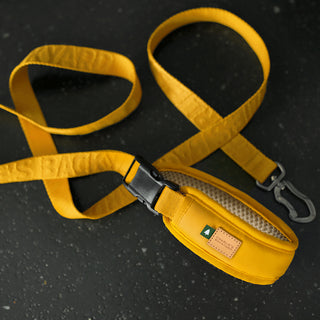 Charlie's Backyard Town Cordura Leash Yellow | Henlo Pets