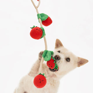 the furryfolks Cherry Tomato Nose Work & Tug Dog Toy | Henlo Pets