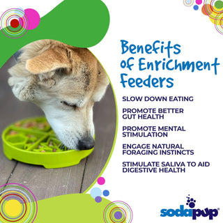 SodaPup Four Seasons eTray Slow Feeder | Henlo Pets