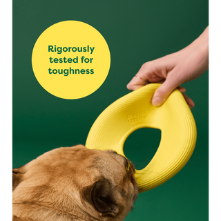 Earth Rated Flying Disc Flyer Dog Toy | Henlo Pets