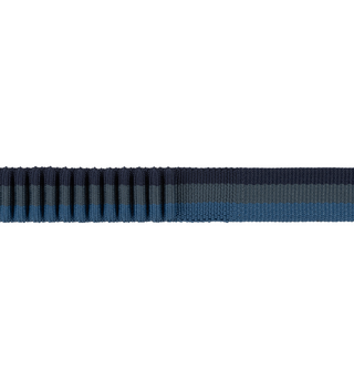 RUFFWEAR Roamer Bungee Dog Leash Orion Blue | Henlo Pets