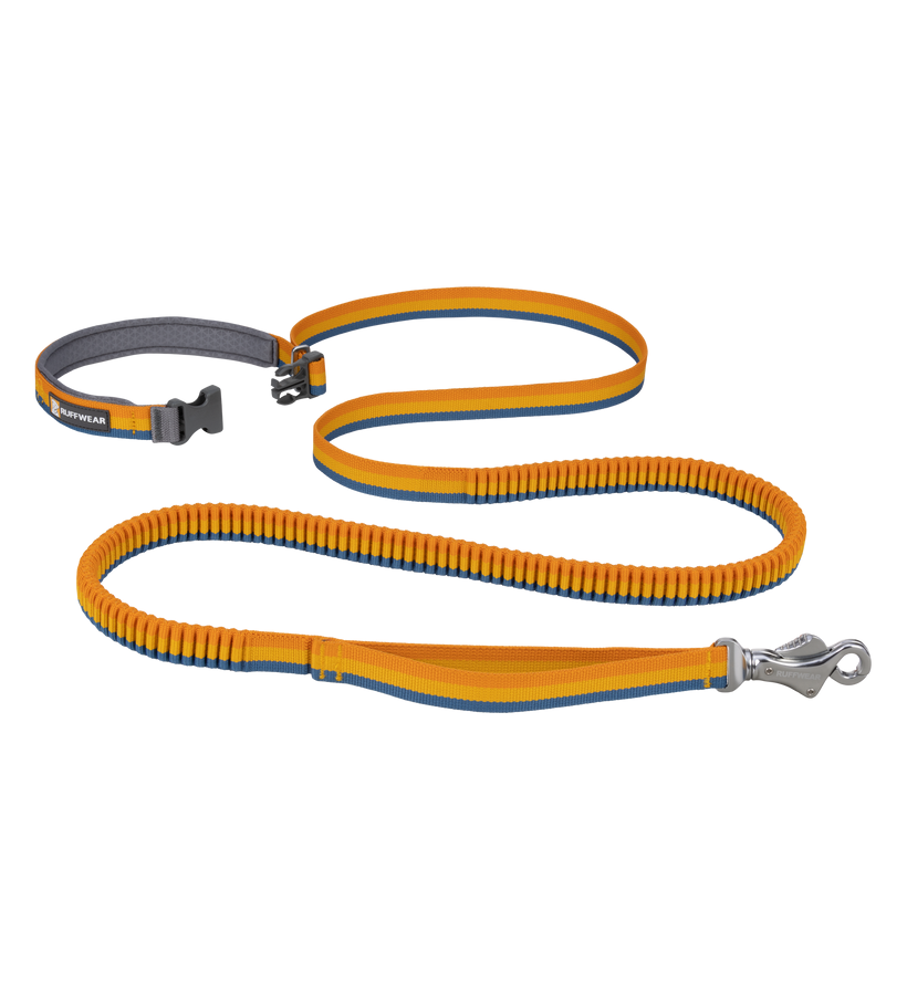 RUFFWEAR Roamer Bungee Dog Leash Henlo Pets