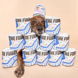 the furryfolks Toilet Paper Nose Work Dog Toy | Henlo Pets