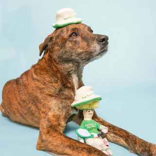 the furryfolks Tennis Hooman Nose Work Dog Toy | Henlo Pets
