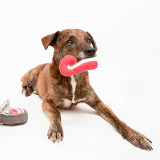 the furryfolks Tinned Octopus Nose Work Dog Toy | Henlo Pets