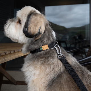 Charlie's Backyard Town Cordura Leash Black | Henlo Pets