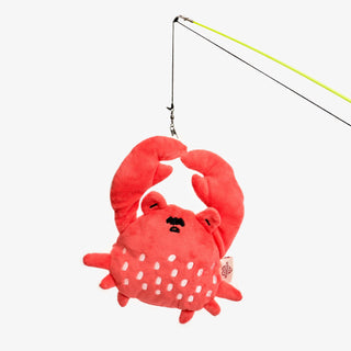 the furryfolks Crab Nose Work Dog Toy | Henlo Pets