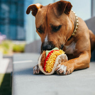 P.L.A.Y. International Classic Dog Toy Collection | Henlo Pets