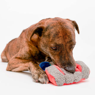 the furryfolks Tinned Salmon Nose Work Dog Toy | Henlo Pets