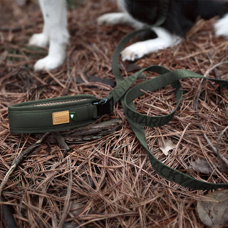 Charlie's Backyard Town Cordura Leash Khaki | Henlo Pets