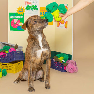 the furryfolks Broccoli Nose Work Dog Toy | Henlo Pets