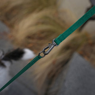 Charlie's Backyard Easy Leash Green | Henlo Pets
