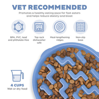 Outward Hound Fun Feeder Slo Bowl Slow Feeder Dog Bowl | Henlo Pets