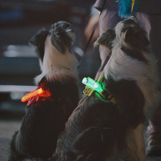 Laroo Crocodile Blinker LED Safety Band - Neon Green | Henlo Pets