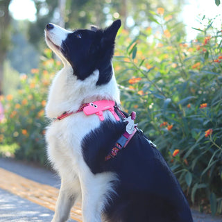 Laroo Crocodile Blinker LED Safety Band - Pink | Henlo Pets
