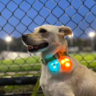 Laroo Octopus Blinker LED Safety Light - Orange | Henlo Pets