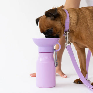 Springer Pets Mini Dog Travel Water Bottle | Henlo Pets