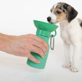 Springer Pets Mini Dog Travel Water Bottle | Henlo Pets