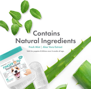 Petkin Fingertip Tooth Wipes | Henlo Pets