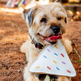 Georgie Paws Fairy Bread Leather Dog Toy | Henlo Pets