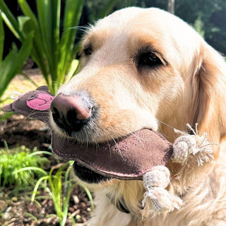 Georgie Paws Baz the Bear Leather Dog Toy | Henlo Pets